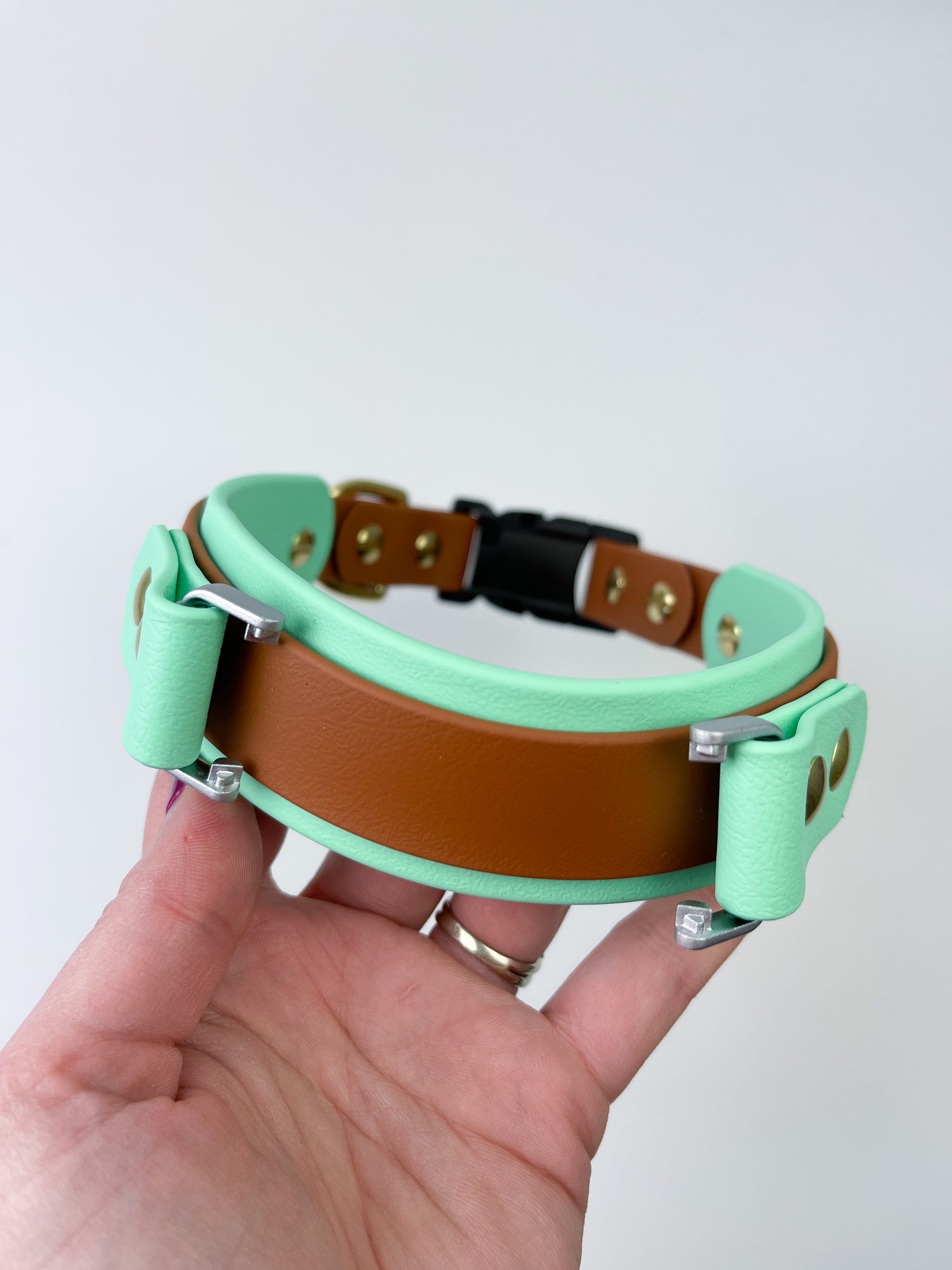 Fi Compatible BioThane Ice Cream Collar – Pupups